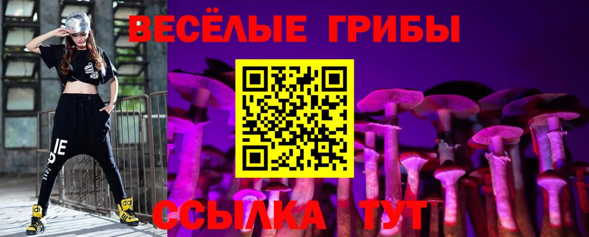 Электросталь  Галлюциногенные грибы Psilocybe  Галлюциногенные грибы Psilocybe  Вход с VPN 
