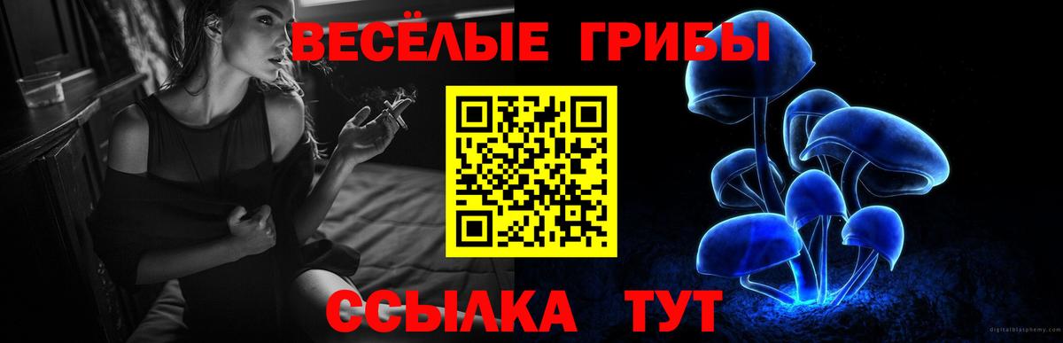 Галлюциногенные грибы Cubensis Электросталь